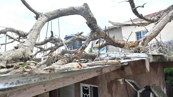 huracan-melissa-golpea-hogar-del-80--de-dominicanos-en-jamaica-66eeddbd-focus-0-0-896-504