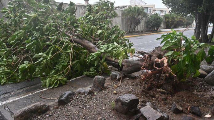 jamaica-declara-el-pais-como-zona-catastrofica-tras-huracan-melissa-ab32acff-focus-0-0-896-504