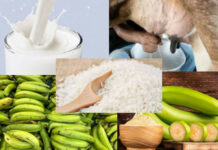 Plátanos, guineos, limones, arroz, guandules y leche líquida impactan la inflación de RD en octubre