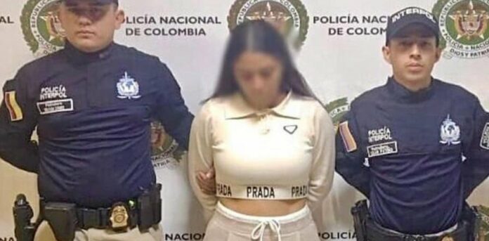 6924e45102f7c.r_d.478-311-13393