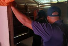 Apresan a siete agentes penitenciarios señalados por fuga de reo en Moca