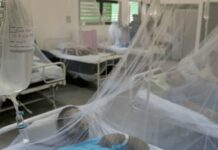 La OPS advierte que la crisis en Cuba limita la lucha contra la epidemia de chikunguña