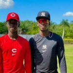 Una industria millonaria que opera sin reglas y opera de palabras