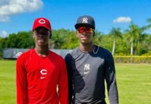 Una industria millonaria que opera sin reglas y opera de palabras