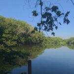 Prospecto de béisbol que murió en laguna de Guanuma compartía junto a otros cinco adolescentes
