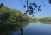 Prospecto de béisbol que murió en laguna de Guanuma compartía junto a otros cinco adolescentes