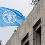 FAO afirma que sólo el 35 % de las tierras en el mundo tienen título formal de propiedad