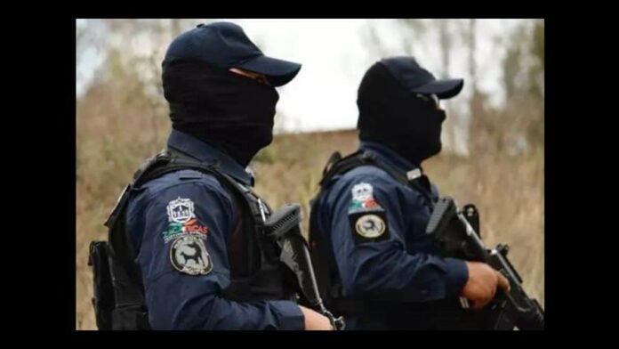 capture-36c8398e-focus-0-0-896-504