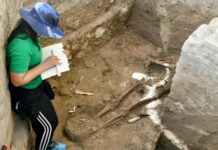 Hallan 13 osamentas en ruinas de Azua en el proyecto de búsqueda del cacique Enriquillo