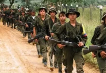 Colombia: “El reclutamiento de menores no se hace con fusil, sino a través de las redes sociales”