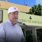 Agricultura asegura regularán precios pollo y otros alimentos