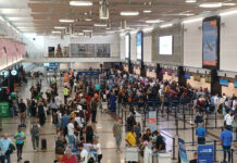 Más de 8,500 personas han viajado a Miami desde Las Américas para el Clásico Mundial 2026