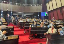 Congreso Nacional obvia sentencia del TC y elimina candidatura independiente