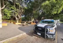 Policía identifica a hombre encontrado sin vida en acera del Jardín Botánico