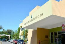 Agricultura desmiente «contenidos» de carta sobre presuntas irregularidades y ordena investigación