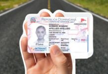 Diáspora dominicana podrá solicitar nueva licencia de conducir en 10 ciudades de cinco países