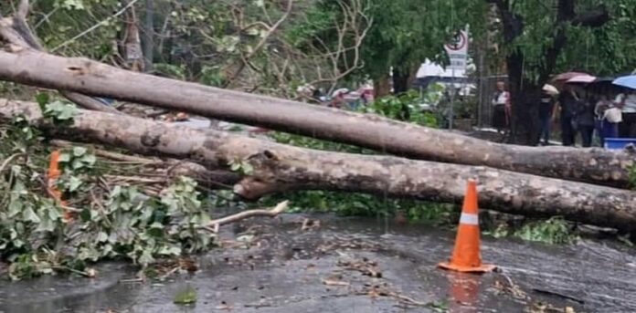 69dd6016948ef.r_d.801-950-11111