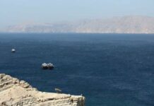 Tensión en el estrecho de Ormuz: dos petroleros se ven obligados a dar marcha atrás por Irán