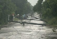 Tornado derriba árboles y postes del tendido eléctrico en la carretera Cotuí–Fantino