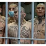 Comienza en El Salvador juicio contra más de 500 bandoleros