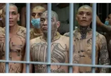 Comienza en El Salvador juicio contra más de 500 bandoleros