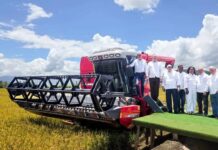 Gobierno destaca producción récord: «RD es el mayor productor de arroz en el Caribe y Centroamérica»