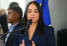 Faride Raful reconoce que sistema ha fallado en prevención de feminicidios: 30 mujeres en 2026
