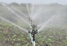 Tecnificar el riego agrícola ahorraría más del 60 % del agua en RD