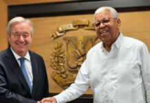 ONU reconoce apoyo dominicano en misión internacional para Haití