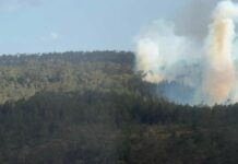 Incendio en Sierra de Bahoruco sigue activo desde el sábado; esperan controlarlo «en los próximos días»