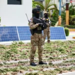 Plantación de marihuana desmantelada en Ocoa sumó 3,533 plantas y 3,200 libras, según Inacif