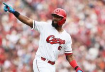 Dominicano Sandro Fabián encabeza latinos béisbol Japón