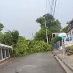 Loma de Cabrera reporta daños tras un tornado que derribó árboles