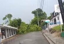 Loma de Cabrera reporta daños tras un tornado que derribó árboles
