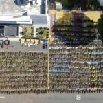 Desmantelan otra plantación de marihuana en San José de Ocoa; la mayor hasta ahora en el país