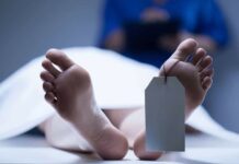 Madre e hijo hallados muertos en Piantini eran dominicanos con ciudadanía de EE. UU