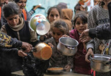 Informe de la ONU asegura que el hambre afecta a 645 millones de personas en el mundo