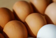 RD reanuda las exportaciones de huevos a Cuba con envío de más de 3.9 millones de unidades