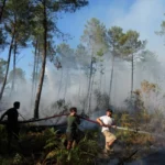 Francia ordena la evacuación de 4.000 personas más mientras los incendios avanzan