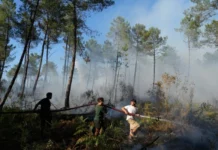 Francia ordena la evacuación de 4.000 personas más mientras los incendios avanzan