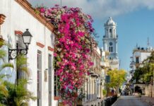 Asociación de Bares respalda nueva ley de horarios para bebidas alcohólicas y pide consenso en el Congreso