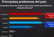 Alto costo vida es la principal preocupación de dominicanos