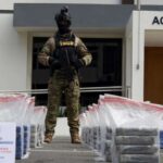 DNCD dice decomisó 914 kilos de drogas en últimos 30 días
