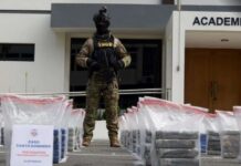 DNCD dice decomisó 914 kilos de drogas en últimos 30 días