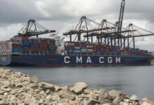 Las exportaciones dominicanas crecen un 17.4 % en junio y suman US$7,897.8 MM en el primer semestre
