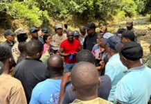 Autoridades haitianas devuelven 13 reses robadas a ganadero dominicano en Dajabón