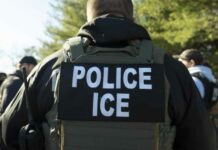 ICE prepara operativo para deportar a migrantes haitianos tras fin del TPS, según CBS