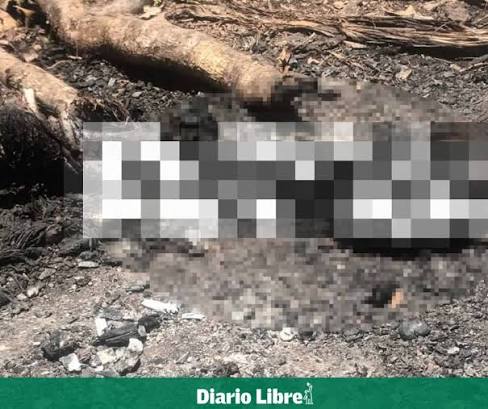 images (12)