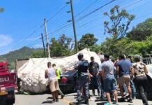 Varios heridos durante accidente entre un carro y un camión en Constanza