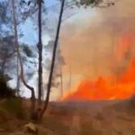 Fuego forestal afecta zona montañosa de San José de las Matas